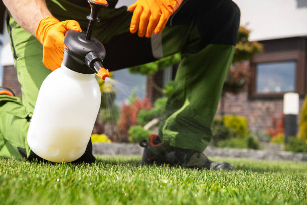 Best Pest Control Near Me  in Union City, CA