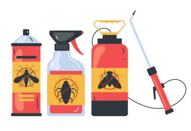 Best Termite Control Services  in Union City, CA