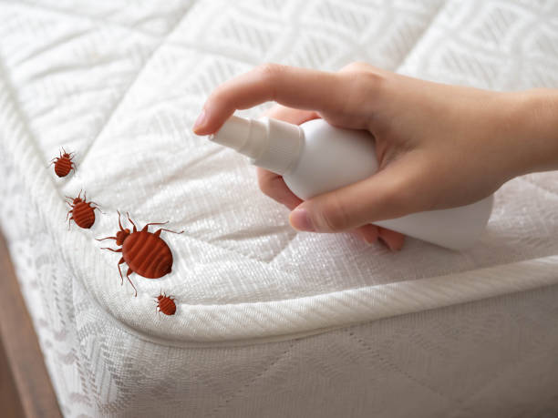 Best Cockroach Control Services  in Union City, CA